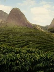 brazil_kave