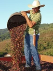 brazil_kave