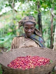 Burundi Butihinda - 250g