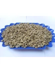 ruanda_maraba_arabica