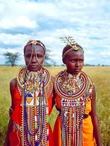 Kenya AA TOP Gikanda Ndaro - 1kg