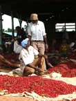 Kenya AA TOP Gikanda Ndaro - 1kg