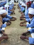 Kenya AA Top Baragwi Guama - 250g