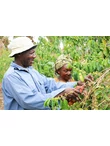 Tanzania Joseph Kayenge Specialty - 1kg