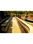 kenya_kionjogu_arabica_kave_02