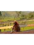 Burundi Gahahe Natural - 250g