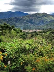 Ecuador Vilcabamba - 1kg