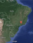 Brazil Mundo Novo - 500g