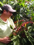 Costa Rica Chacón Solano farm - 250g