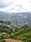 Honduras El Izote farm SHG - 250g