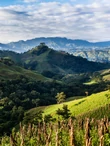 Nicaragua El Mozonte SHG - 250g