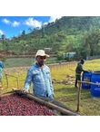 Basha Bekele farm 4