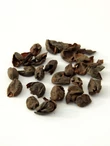 panama_cascara