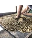 Kolumbia - Finca Zarza 2