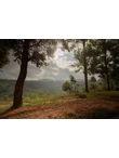 Ruanda farm 1
