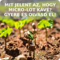 Mit jelent az, hogy