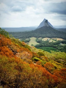 ausztral_skybury_kave