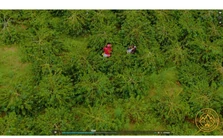 ckolumbia_la_esperanza_kave_arabica_kave