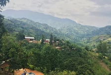 Uganda Mount Elgon project 1