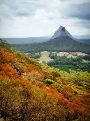 Ausztrál Skybury - 500g