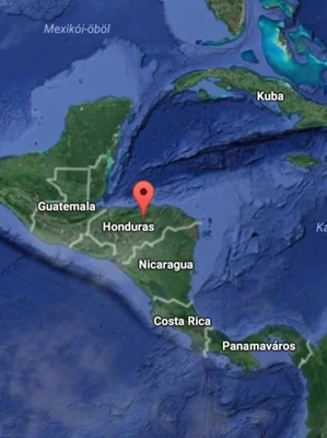 Honduras El Izote farm SHG - 250g