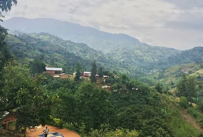 Uganda Mount Elgon project 1