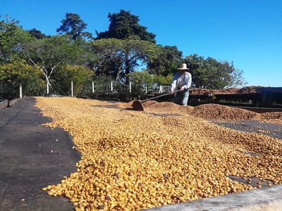 El Salvador Divisadero szárítás